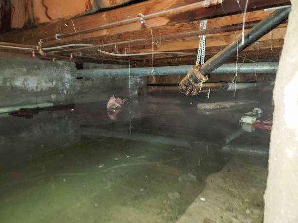 Best Plumbing Leak and Burst Pipe Cleanup in Elizabeth, PA