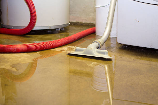 Best Carpet and Upholstery Water Damage Restoration in Elizabeth, PA